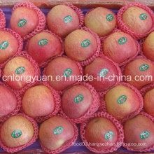 Good Quality Chinese Fresh Qinguan Apple